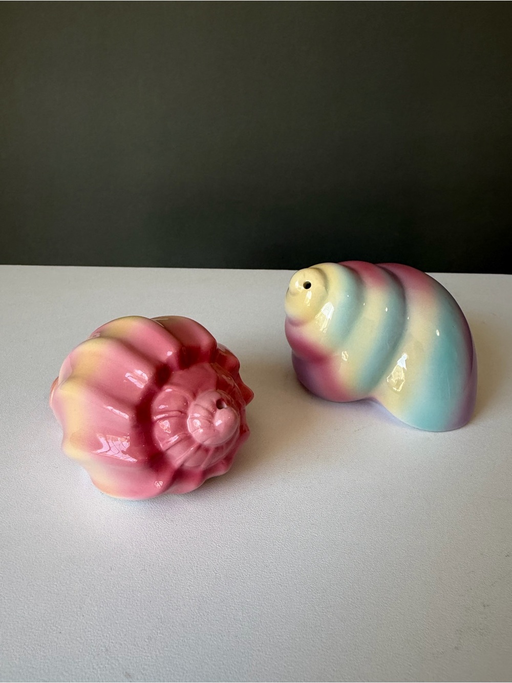 Salt & pepper shakers Seashell salt & pepper watercolor seashells kitchen